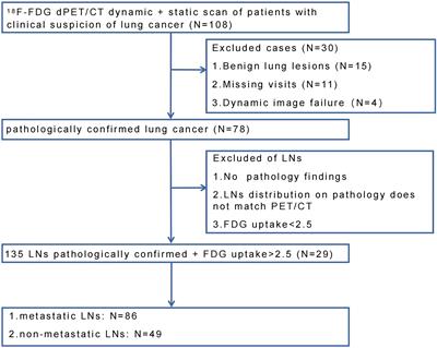 Dynamic FDG-PET imaging for differentiating metastatic from non-metastatic lymph nodes of lung cancer